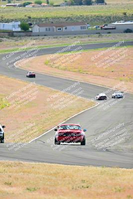 media/May-05-2024-Lucky Dog Racing (Sun) [[8a365fce5b]]/10am-Turn 6/